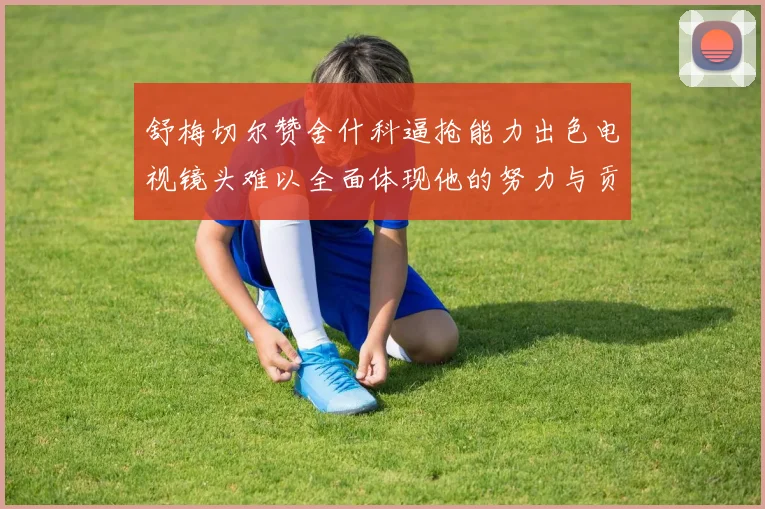 舒梅切尔赞舍什科逼抢能力出色电视镜头难以全面体现他的努力与贡献